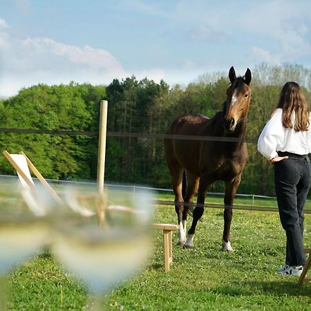 Tiny House Centre Equestre - 35 Mins De Paris Villa Chambly Luaran gambar