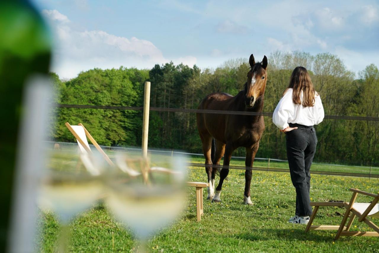 Tiny House Centre Equestre - 35 Mins De Paris Villa Chambly Luaran gambar